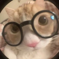 แอด