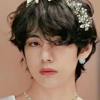 Kim Taehyung / Host