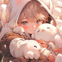 MAXWELL(G/N)