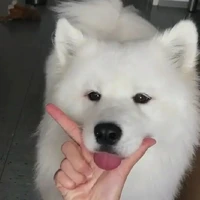 แอด