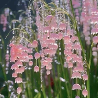 All