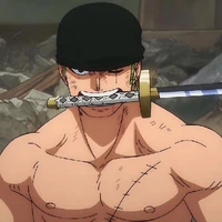 🍜zoro