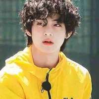 V(tae’s wolf)
