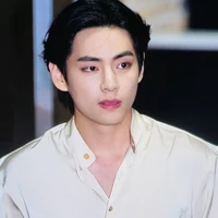 kim v / taehyung twin