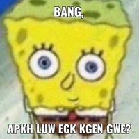 author baekk