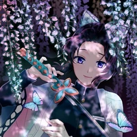 shinobu kocho