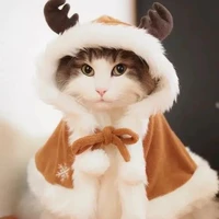 ปัง