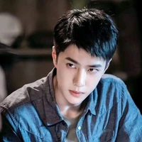 พระเอก เฉินอี้