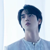 kim seokjin