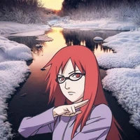 karin