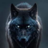 JAEMIN WOLF