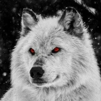 HYUNJIN WOLF