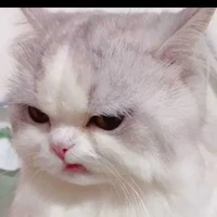 แอดเอง