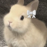 ยูยี้[เเอดๆเอง]
