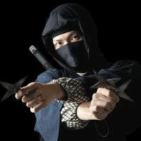 Unknown ninja