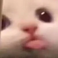 อะฮิอุฮิ~(แอด)