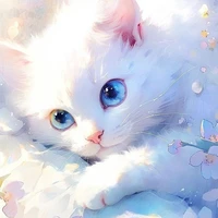 kitty