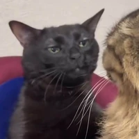 ไรท์เองเน้ออ