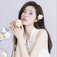 แอน