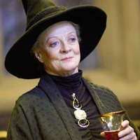 Professor Mc Gonagall