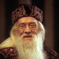 Professor Dumbledore 