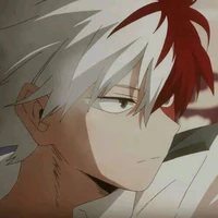 shoto Todoroki