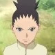 Shikadai