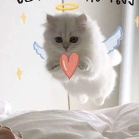 แอดผู้น่ารัก🎧✨🎀