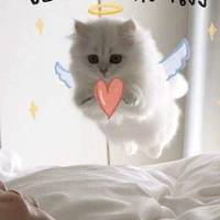 แอดผู้น่ารัก🎧✨🎀