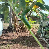 ทุกคนในทีม