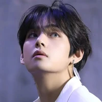 Kim Taehyung 🐻