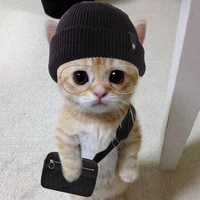 แอดเองงง
