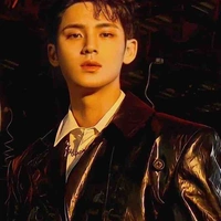 Mingyu (jungkook friend )