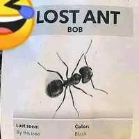 Ugly demon  bob