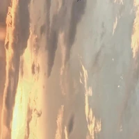 แอด✨