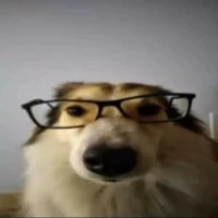 Eu*criador*