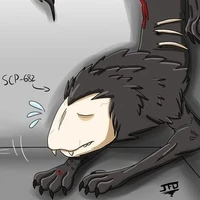 ราฟ
