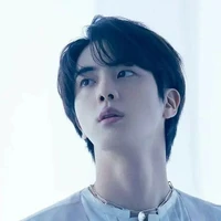 Kim Seokjin(Chef)