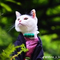 Nezuko