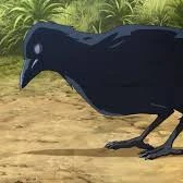 Corbeau