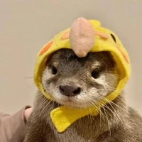 แอดเอง