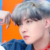 Jung Hoseok [ 30 Anos / Ômega ]