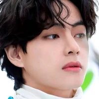 Kim Taehyung [ 28 Anos / Alfa ]