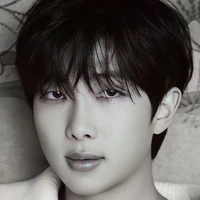 Kim Namjoon [ 34 Anos / Alfa ]