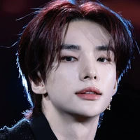 Hwang Hyunjin [ 26 Anos / Alfa ]