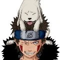 Kiba