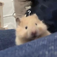 °•°