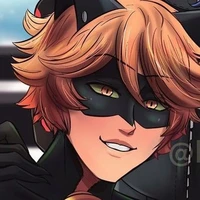 chat noir