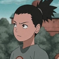 💤Shikamaru💤