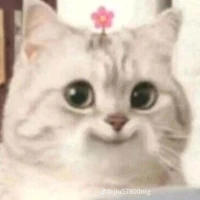 แอ๊ดแอด~~